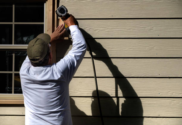 Affordable Siding Repair and Maintenance Services in Mahtomedi, MN